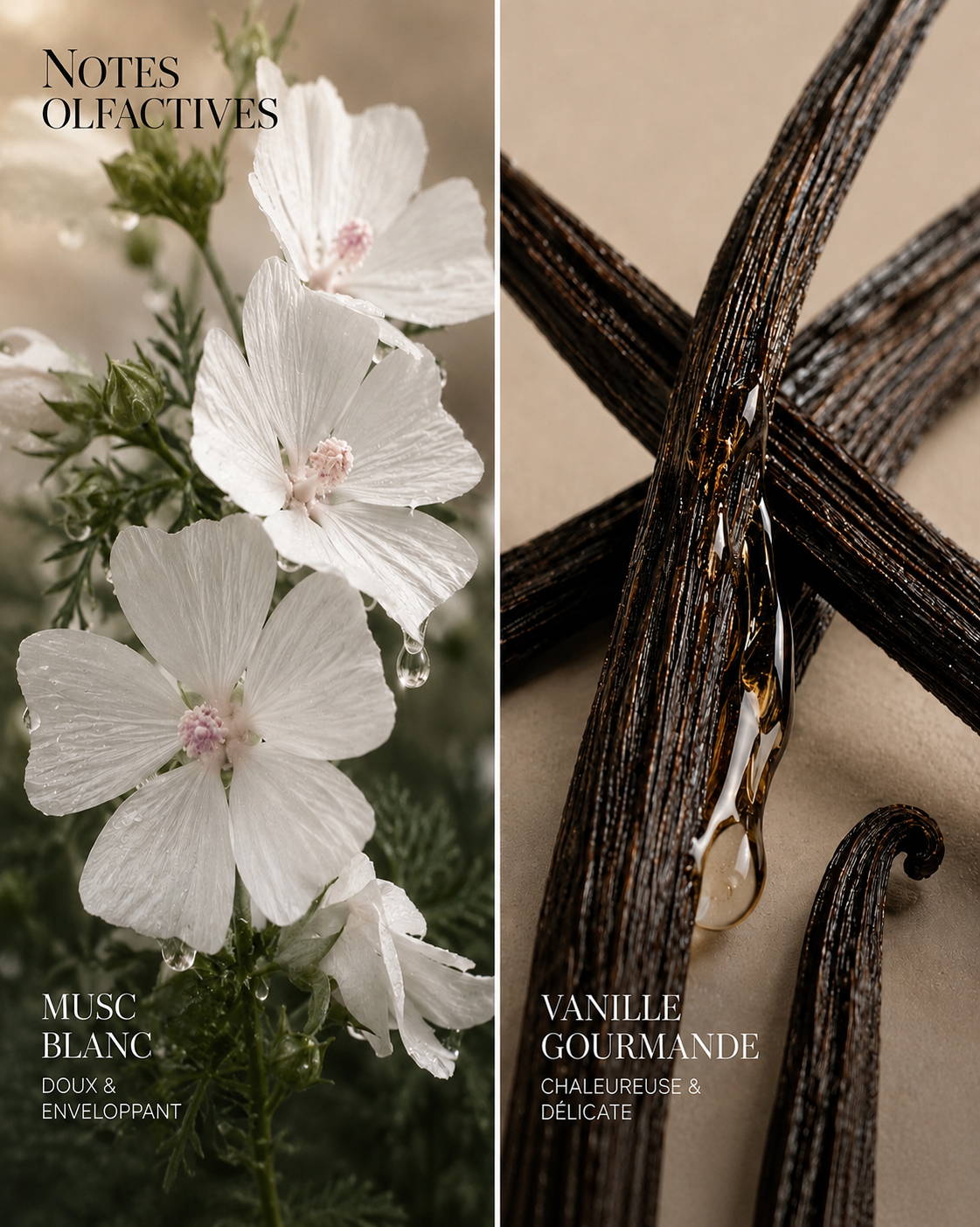 Brume Parfumée White Musk & Vanilla
